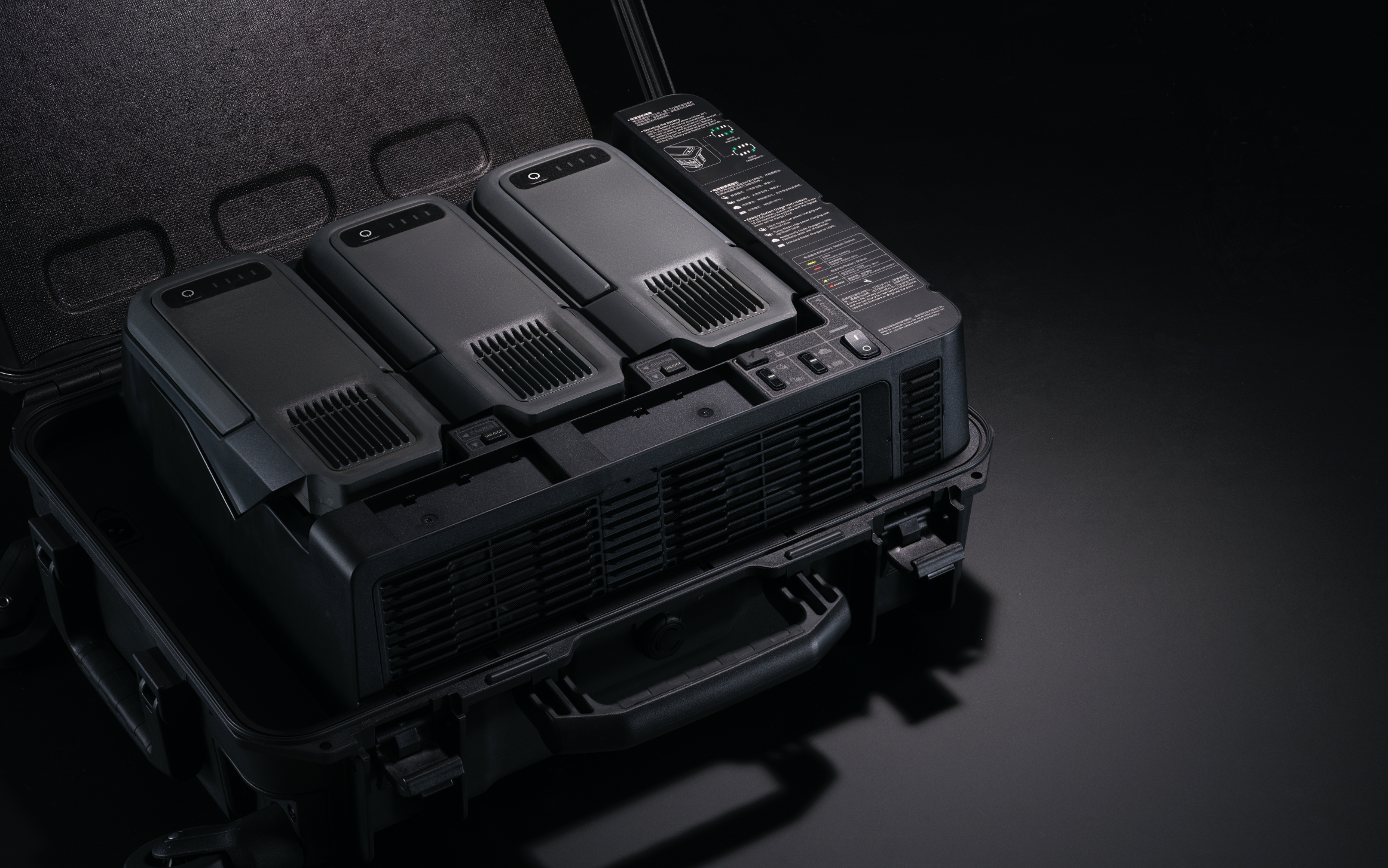 BS100 Intelligent Battery Station