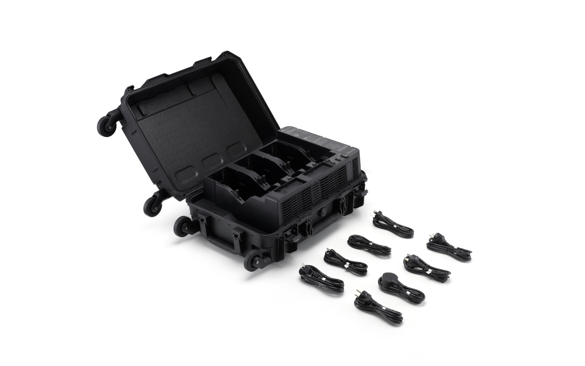 BS100 Intelligent Battery Station